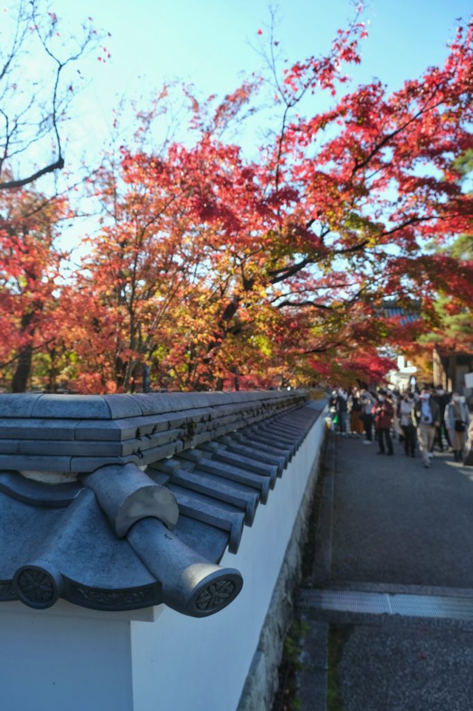 Le muret le long du chemin d'accès au Eikan-do Zenrin-ji et ses érables colorés