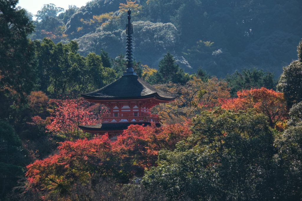 La pagode Koyasu en face du Kiyomizu-dera et ses érables rouges