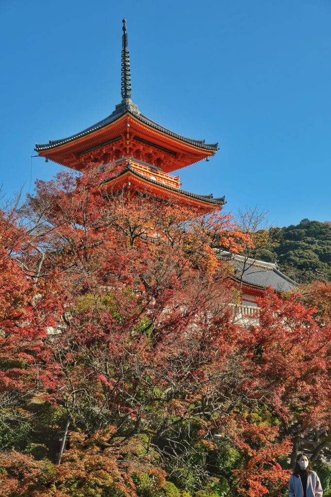 La pagode du Kiyomizu-dera devant des érables déjà bien vides de feuilles