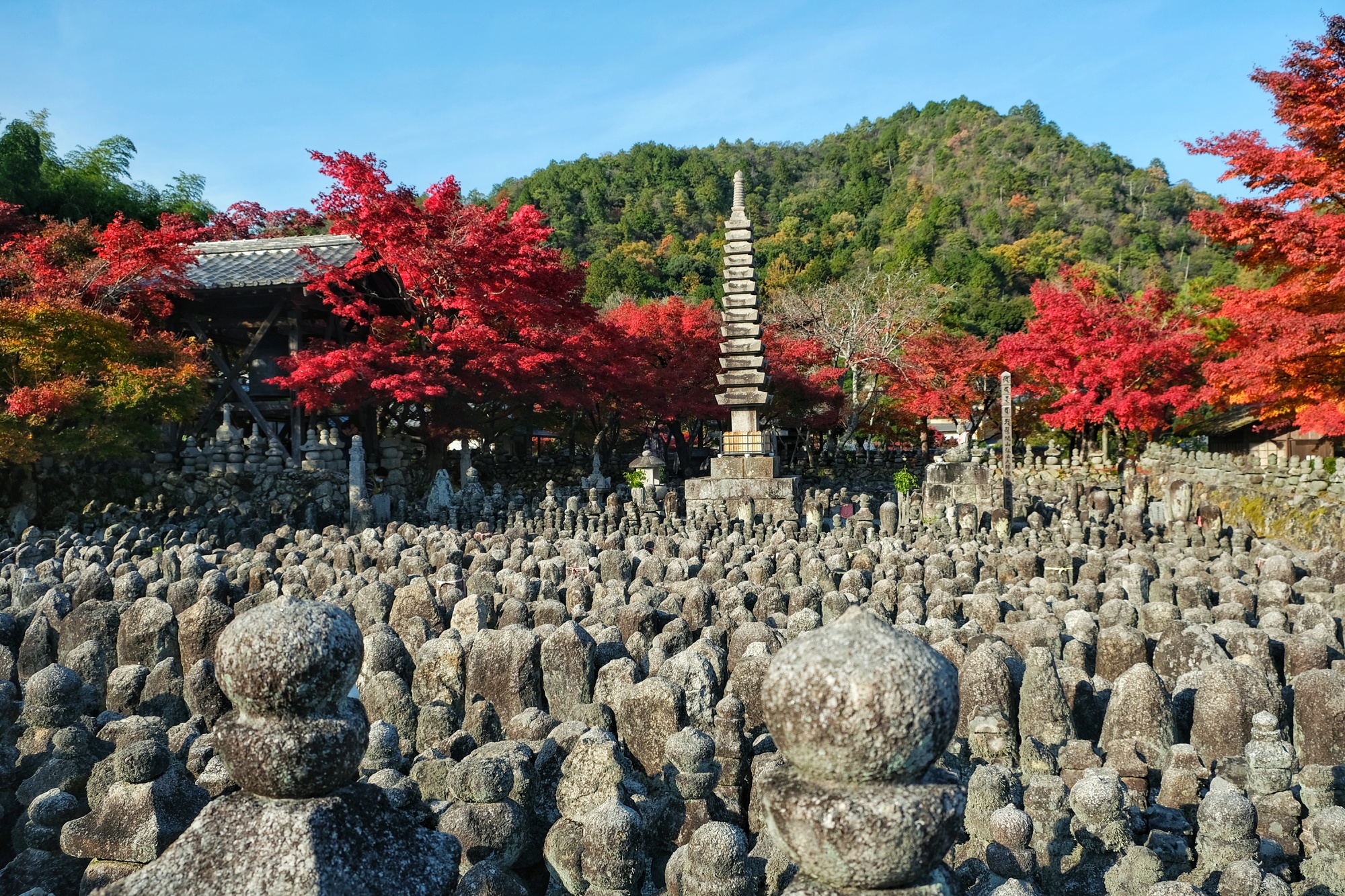 Les statuettes du temple Adashino Nenbutsu-ji devant les momiji rouges vifs