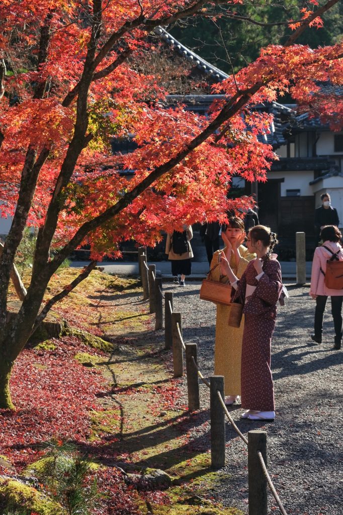 Photo en kimono devant les érables rouges du Nanzen-ji