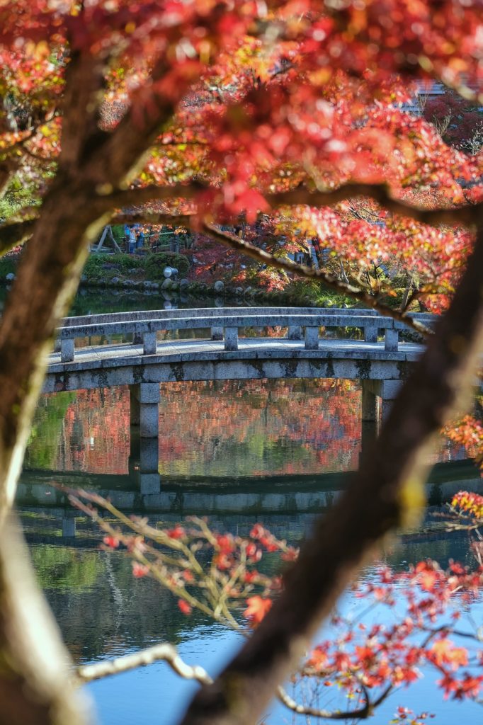 Un pont au-dessus de l'étang du Eikan-do Zenrin-ji pendant l'automne