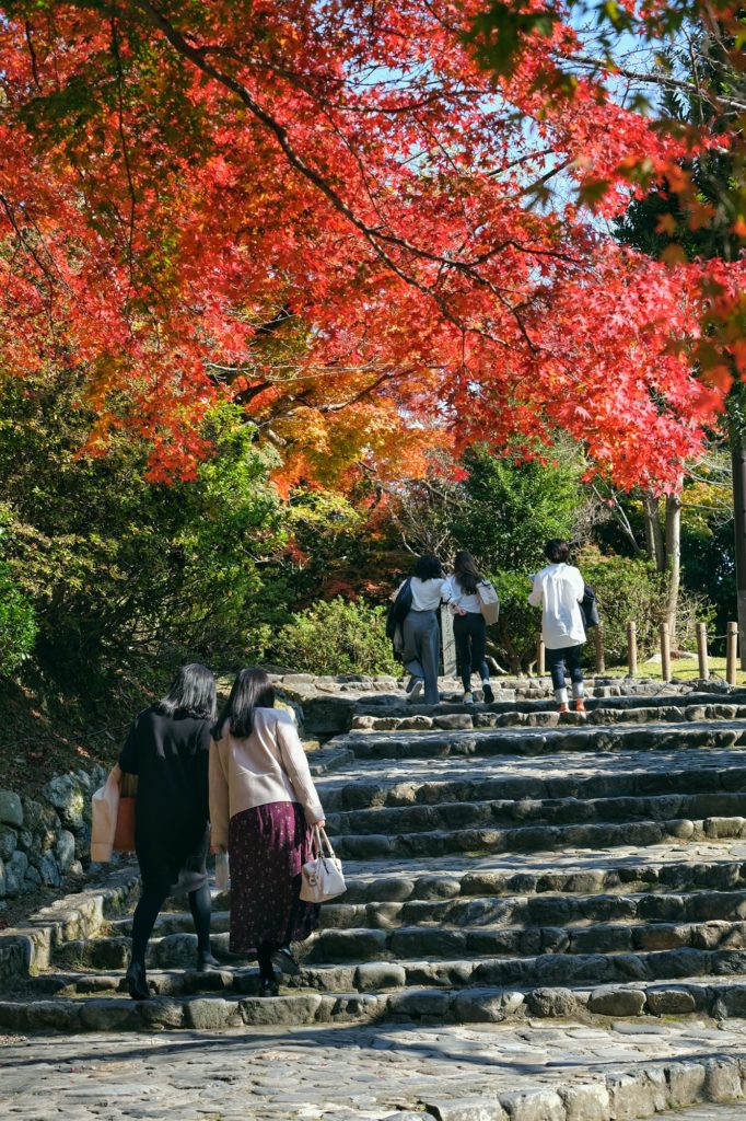 Des Japonais se promènent sous les érables multicolores du parc Arashiyama à Kyoto