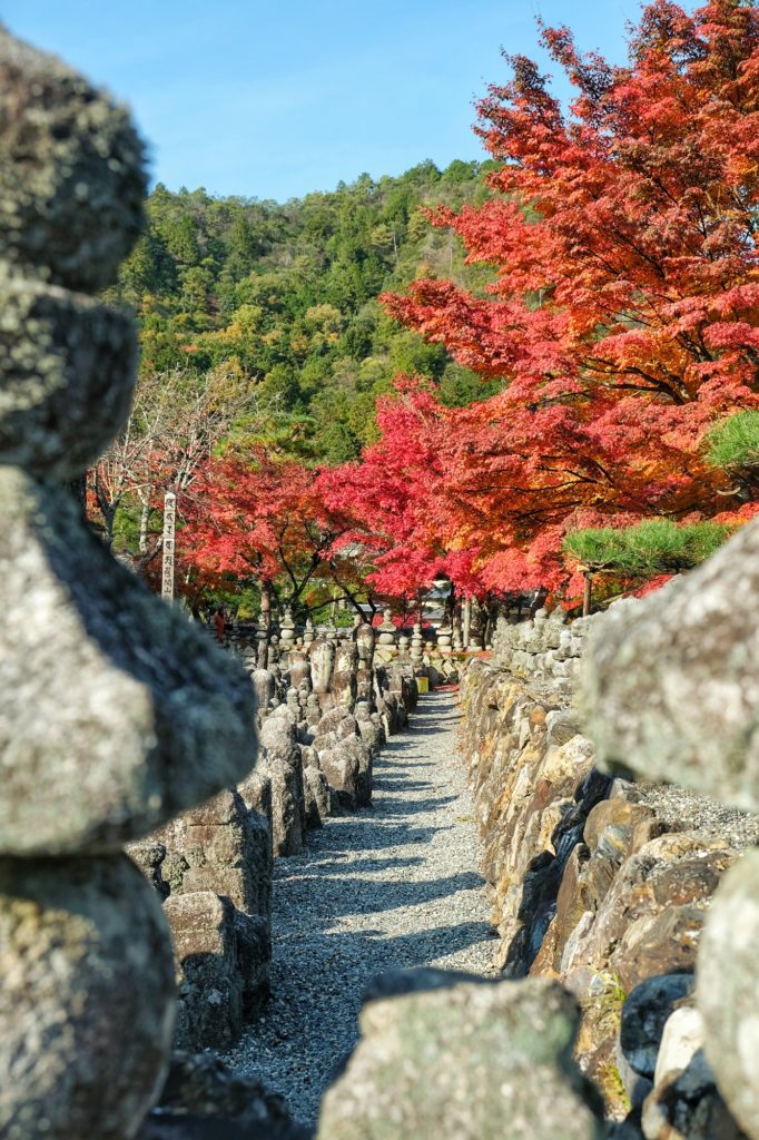 Les statuettes du temple Adashino Nenbutsu-ji devant les momiji de l'automne