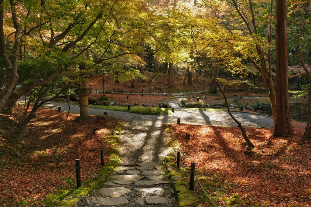 Scène automnale avec les feuilles au sol et une lumière du matin qui éclaire les jardins du Daigo-ji de Kyoto