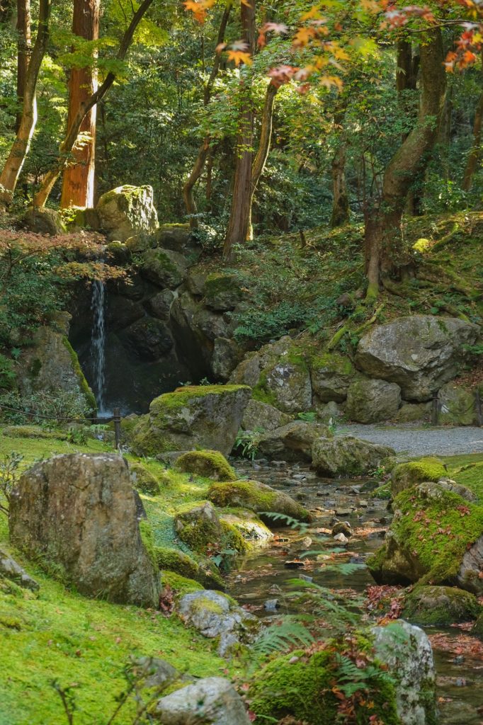 Le ruisseau qui traverse les jardins du Daigo-ji à Kyoto