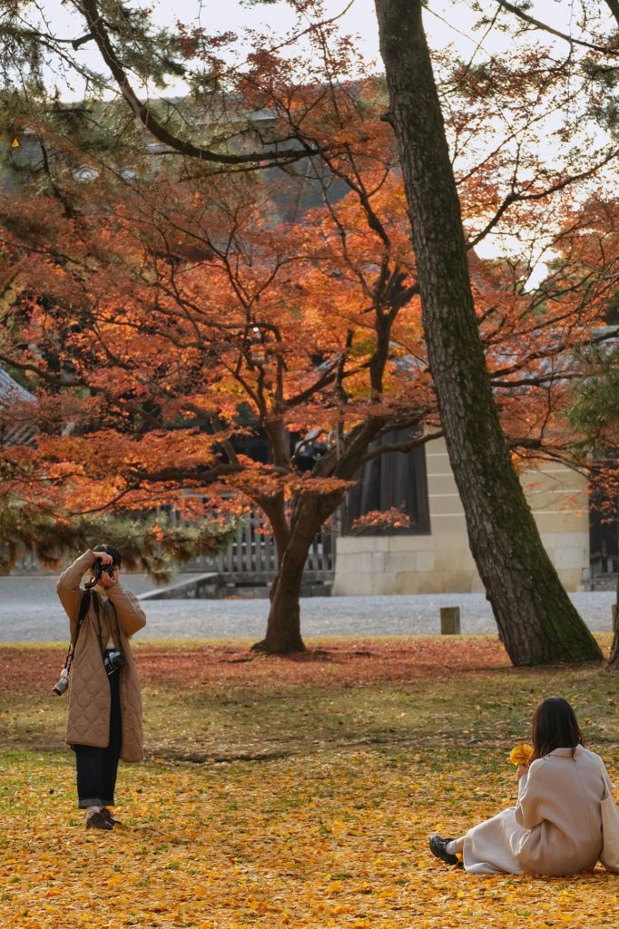 Deux Japonaises en séance photo sur les feuilles de ginkgos en automne dans le parc du Palais Impérial de Kyoto