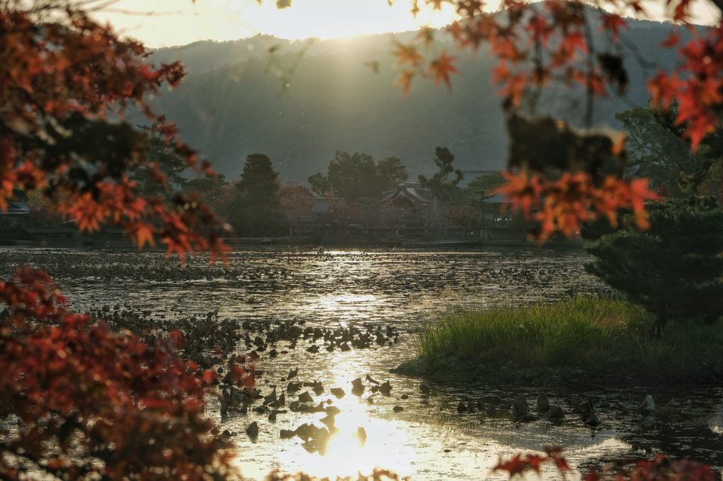 L'étang Osawa au soleil couchant