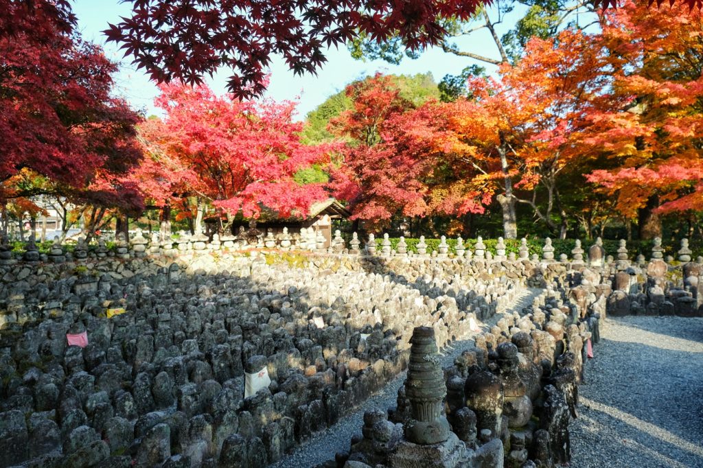 Les statuettes du temple Adashino Nenbutsu-ji sous les momiji en automne