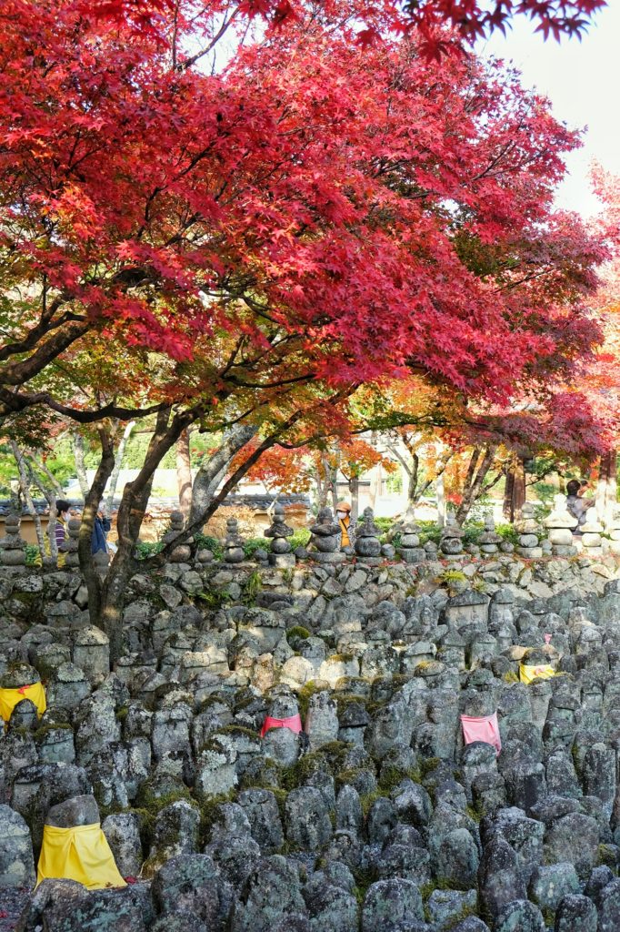 Les statuettes du temple Adashino Nenbutsu-ji sous les érables rouges