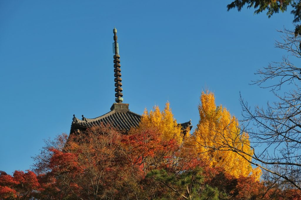 Le toit de la pagode du temple Shinnyodo Hondo à Kyoto derrière les momiji