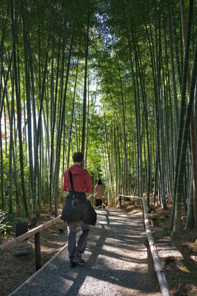 Vincent marche au milieu de la forêt de bambous du Kodai-ji