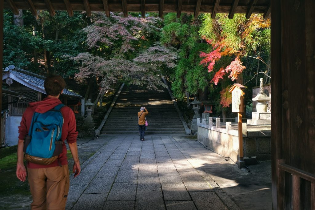 Vincent se dirige vers les escaliers du temple Horin-ji